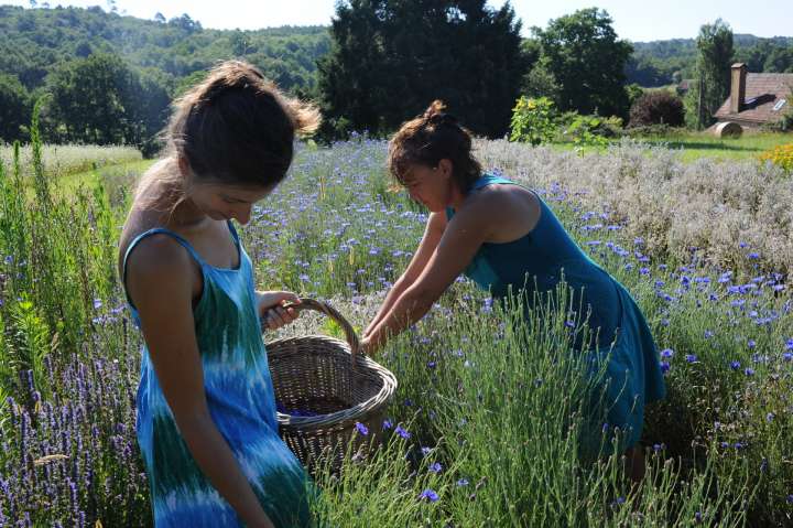 Nathalie (à droite) et Stéphanie ceuillent des bleuets. Crédit photo : © Serge Lapouge