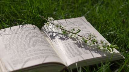 Livres : Jardins d’hiver, La fleurette et le camionneur