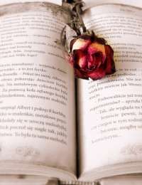 Livres : La bible des plantes aromatiques, Boissons remèdes ... 