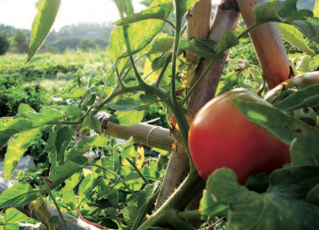 Loi biodiversité