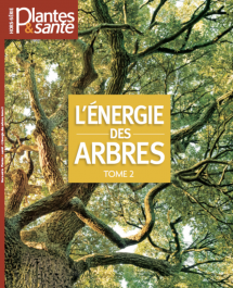 Hors-série Energie des arbres Tome II
