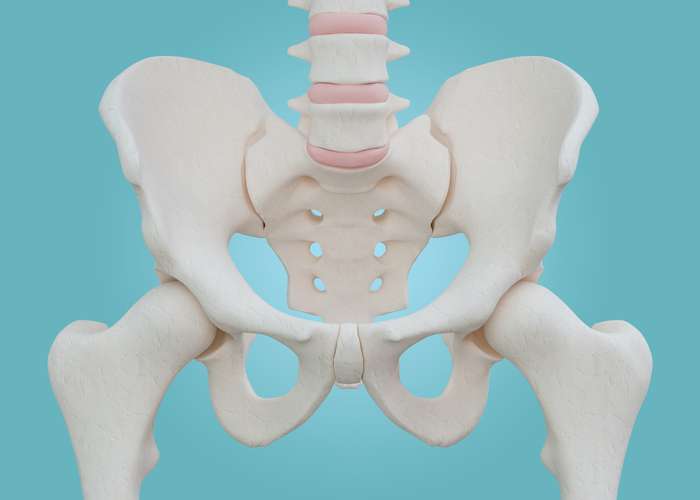  Les fractures de la hanche