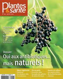 Plantes & Santé n°153 - Numérique