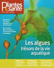 Plantes & Santé n°181 - Numérique